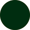 circle image here